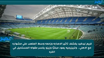 كريم نيدفيد يكشف تأثير الإصابة وزحمة وسط الملعب على مشواره مع الأهلي.. وتريزيجيه يعود مبكرًا وزيزو يكسر مقولة المستحيل في الكرة